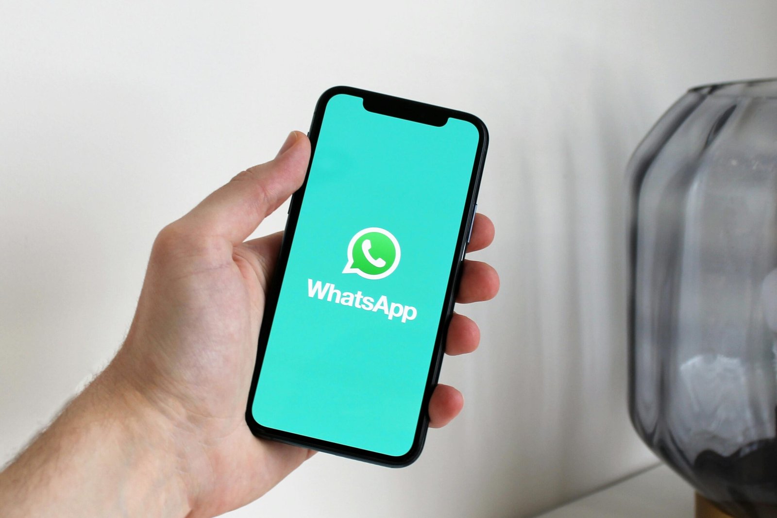 ayuda con documentos whatsapp